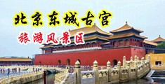 中国女人被操片儿中国北京-东城古宫旅游风景区